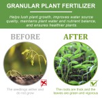Flower Pot Fertilizer Supplier - Green Leaf Root Growth Nutrient