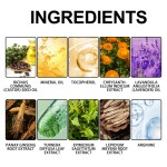 Prostate Care Patch Factory - Men's Health Management