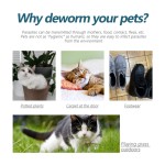 Pet Flea Treatment Factory - External Deworming Tick Drops