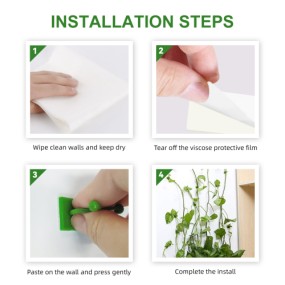 Plant Holder Supplier - Wall Climbing Self-adhesive