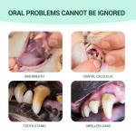 Pet Dental Care Supplier - Teeth Stain Ear Cleaning