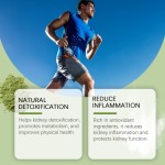 Barley Grass Powder Factory - Kidney Health Energy Supplement