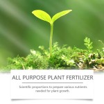 Plant Growth Agent Manufacturer - Concentrated Fertilizer Spray
