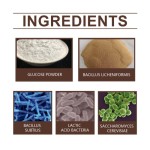 Organic Biocatalyst Manufacturer - Plant Pot Flower Nutrition