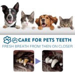 Pet Oral Spray Supplier - Tartar Bad Breath Clean