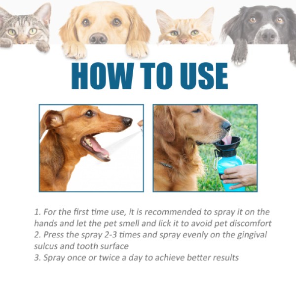 Pet Oral Spray Supplier - Tartar Bad Breath Clean