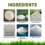 Rooting Powder Factory - Plant Seedling Transplant Nutrition