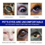 Pet Wash Supplier - Dog Cat Eye Care Water