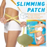Slimming Patch Manufacturer - Wholesale Chinese Natural Herbal Magnet