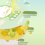 Mosquito Patch Manufacturer - Outdoor OEM Natural Oil Safe Baby