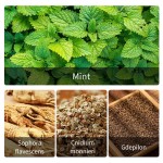 Skin Antibacterial Ointment Manufacturer - Professional Herbal Quick Itching