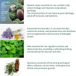 Body Scrub Factory - 2025 Natural Whitening Exfoliating Organic