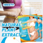 Slimming Patch Manufacturer - Wholesale Chinese Natural Herbal Magnet