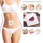 Health Navel Patch Factory - OEM Natural Herbal Magnet Body Slim