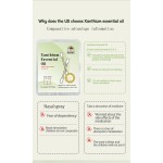 Cold Relief Oil Factory - Sneezing Headache Sinusitis Stuffy Nose