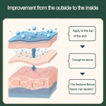 Skin Health Cream Factory - Household Necessities Antipruritic Damp