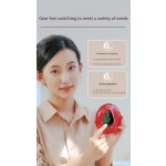 Facial Scraping Instrument Manufacturer - Intelligent Electric Guasha Tool