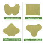 Ginger Plaster Manufacturer - Moxibustion Heating Muscle Back Pain