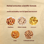 Digestive Patch Manufacturer - 2025 New Herbal Appetite Aid