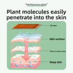 Body Shaping Factory - Firming Skin Belly Slimming