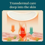 Moxibustion Liquid Supplier - Bottle Packaging Wormwood Liquid