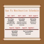 Moxibustion Sticker Manufacturer - Warm Acupoint Home Use