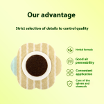 Digestive Patch Manufacturer - 2025 New Herbal Appetite Aid