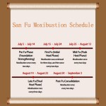 Pain Patch Factory - Direct Sales Chinese Medicine