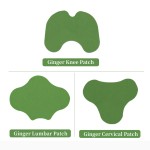 Back Pain Patch Manufacturer - Natural Wormwood Lumbar Spine Warm