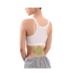 Ginger Plaster Manufacturer - Moxibustion Heating Muscle Back Pain