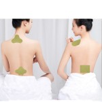 Ginger Plaster Manufacturer - Moxibustion Heating Muscle Back Pain