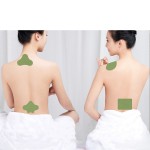 Pain Relief Patch Supplier - 12 Hours Herbal Menthol Ginger