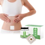 Fat Burning Sticker Factory - Herbal Body Weight Loss Cellulite