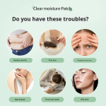 Body Shaping Factory - Firming Skin Belly Slimming