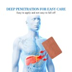 Female Leakage Manufacturer - Postpartum Relaxation Repair Patch