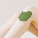 Knee Sticker Supplier - Natural Wormwood Joint Ache