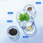 Wormwood Eye Supplier - Herbal Vision Protection Care