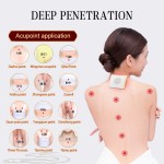 Sanfu Patch Supplier - Traditional Winter Disease Treatment