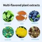 Wormwood Eye Supplier - Herbal Vision Protection Care