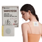 Sanfu Patch Supplier - Traditional Winter Disease Treatment