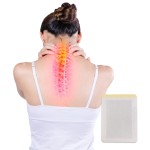 Herbal Patch Supplier - Free Sample Wormwood Pain