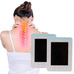 Herbal Patch Supplier - Free Sample Wormwood Pain