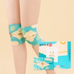 Pain Relief Supplier - Mugwort Spinal Patch OEM