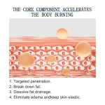 Arm Slimming Manufacturer - New Herbal Fat Burning Patch