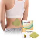 Ginger Plaster Manufacturer - Moxibustion Heating Muscle Back Pain