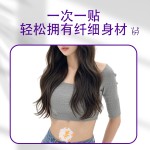 Slimming Patch Supplier - High Effective Wormwood Navel
