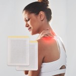 Herbal Patch Supplier - Free Sample Wormwood Pain