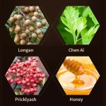 Belly Paste Factory - Best Selling Mugwort Tummy Slimming