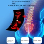 Joint Sticker Supplier - Thailand Factory Direct Bone Pain