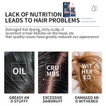 Anti-dandruff Shampoo Manufacturer - Hair Follicle Cleaning Oil Control